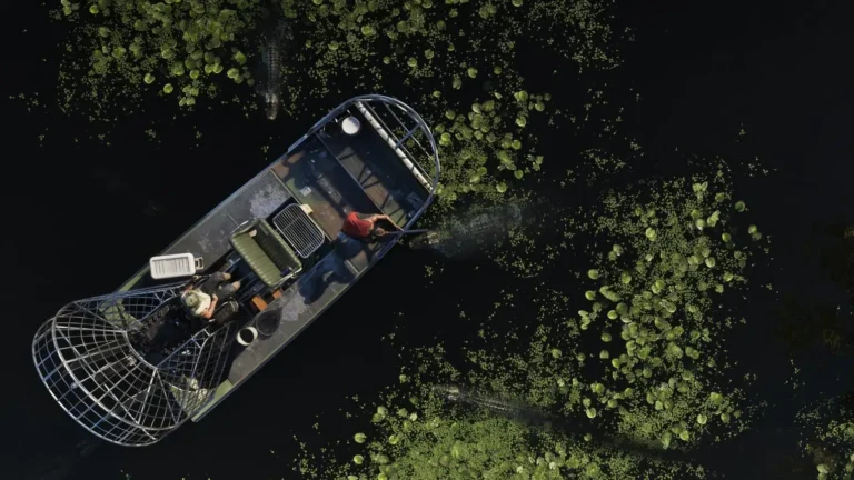 Grassrivers in GTA 6